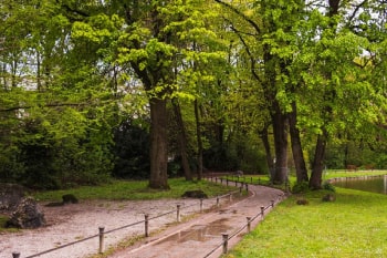 Eskişehir Böcek İlaçlama - Açık Alan İlaçlama Hizmeti